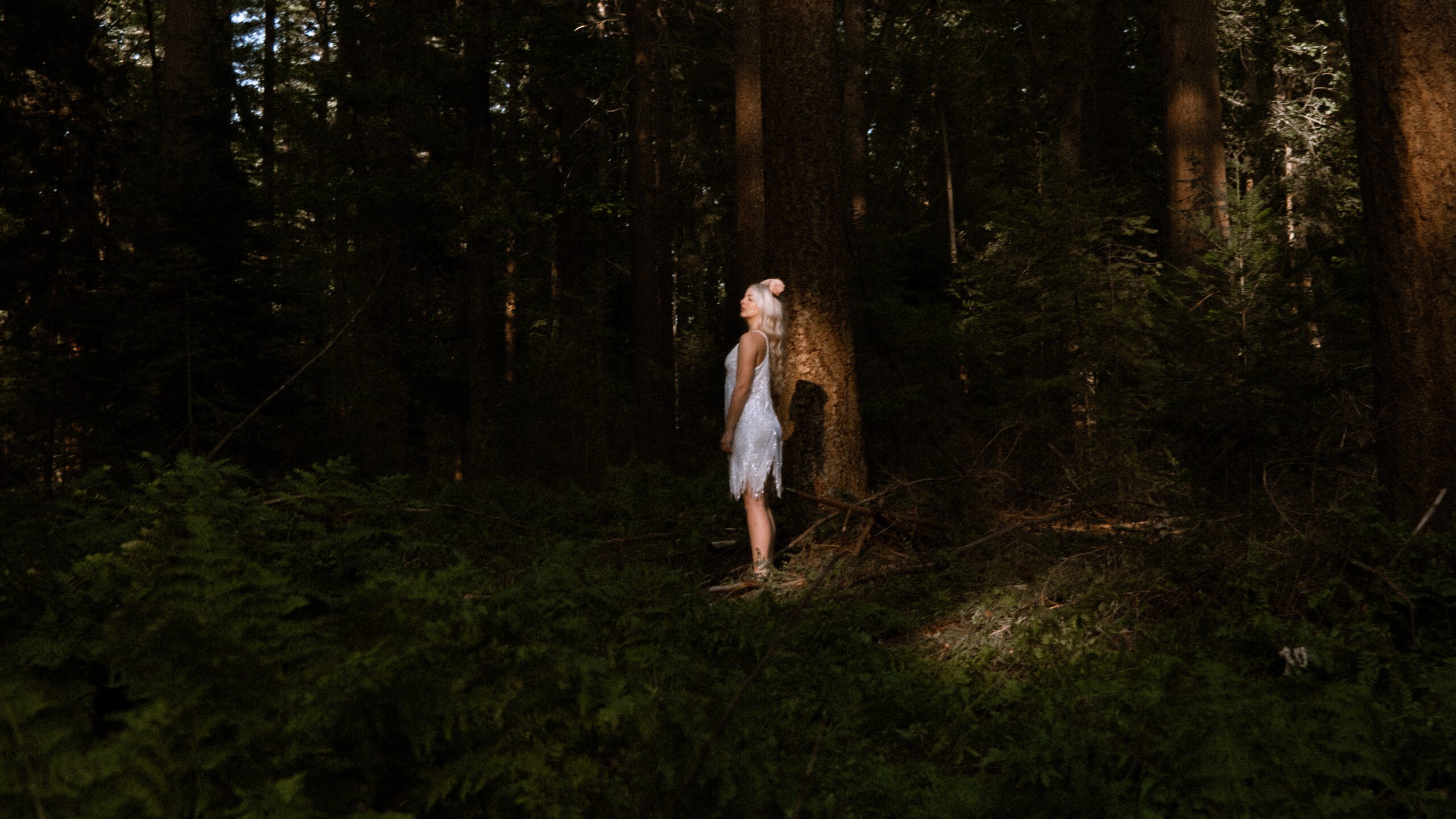 Model Rosalie poseert in een witte jurk van Ivory & Woods te midden van de bomen in het bos bij Ermelo