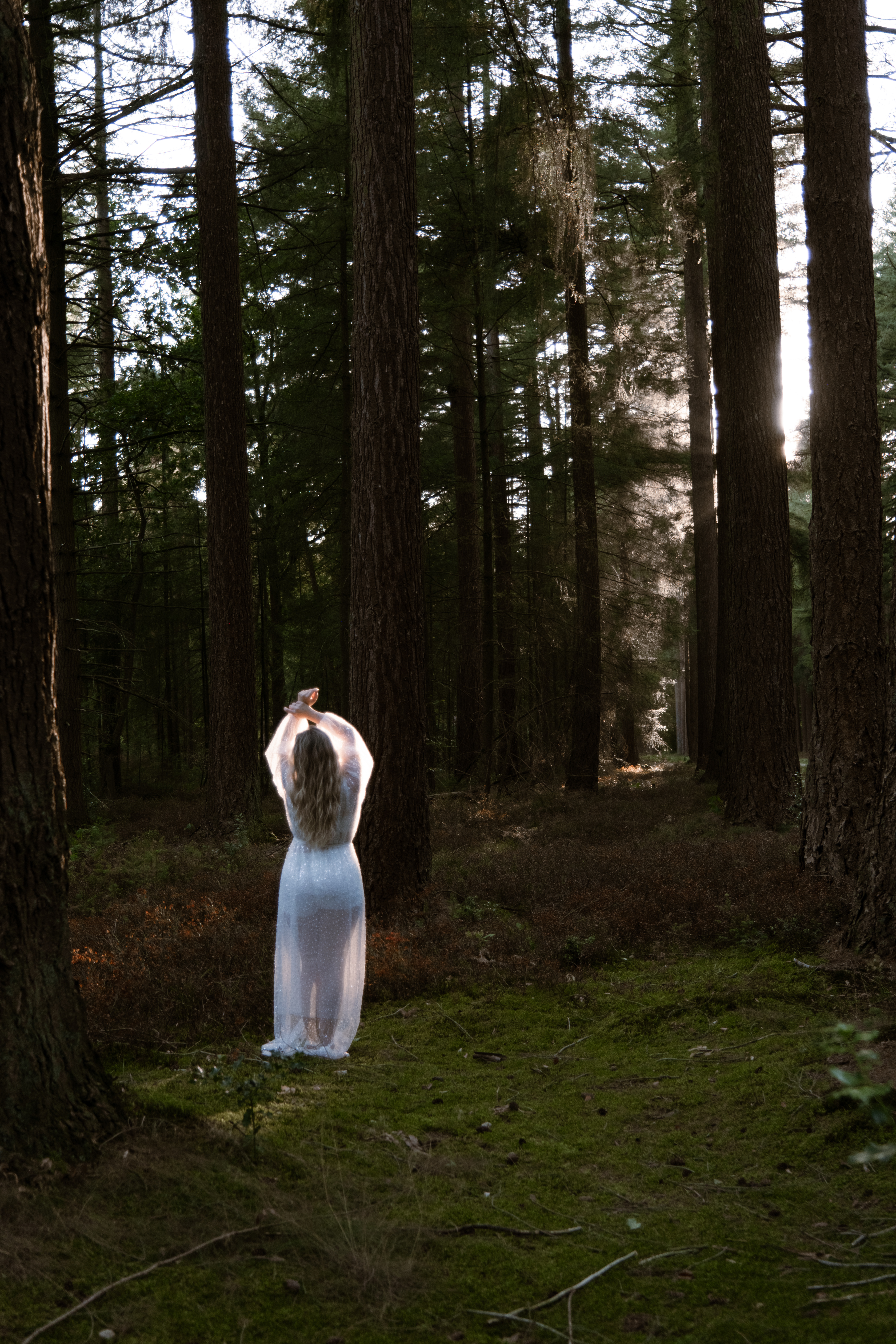 Model Veronique Soraya van de rug gezien in een lichte jurk te midden van hoge bomen en sfeervol tegenlicht in het bos